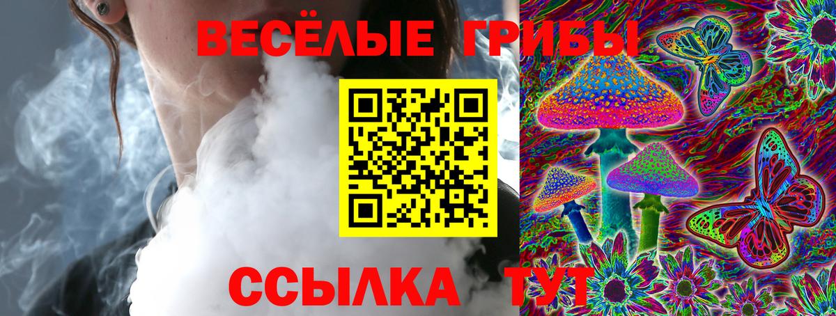 Псилоцибиновые грибы Cubensis Владикавказ