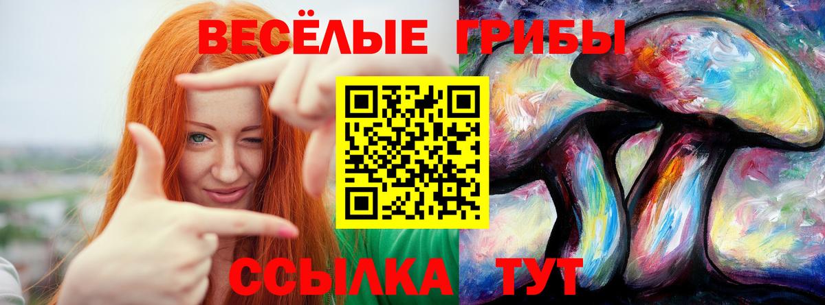 Владикавказ  Псилоцибиновые грибы мухоморы  Галлюциногенные грибы мицелий  Вход с VPN 